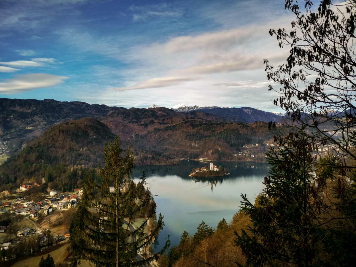 Apartment Alpine Lake ブレッド エクステリア 写真